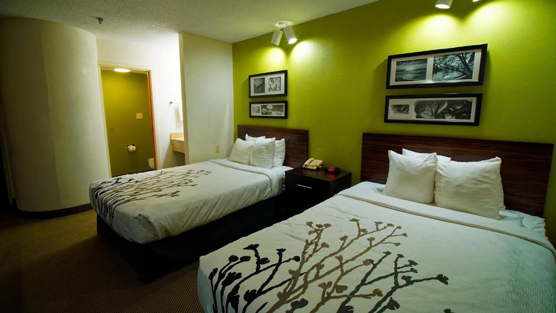 8 Sleep Inn Hotels in North Carolina Worth Booking